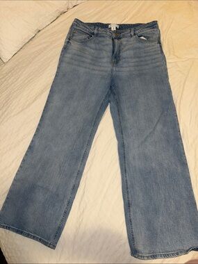 H&M Light Blue Wide Leg Jeans